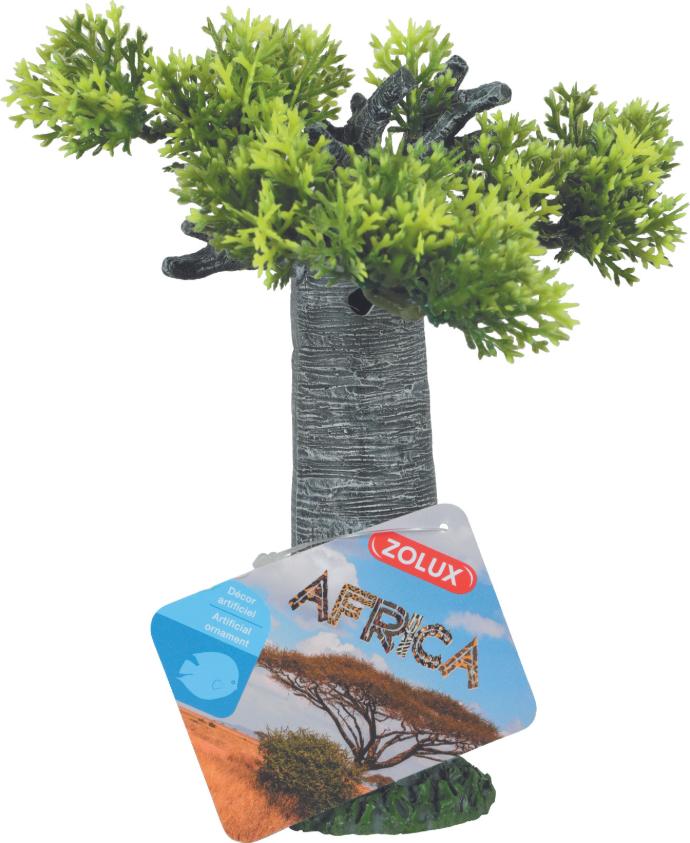 Africa Baobab S