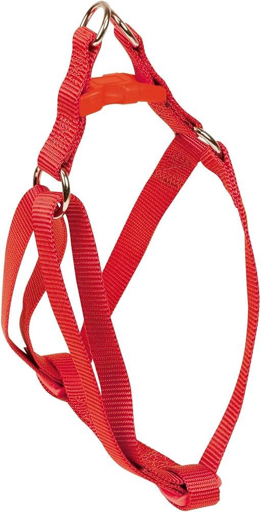 Arnes Basic Rojo 25mm X 45-60cm