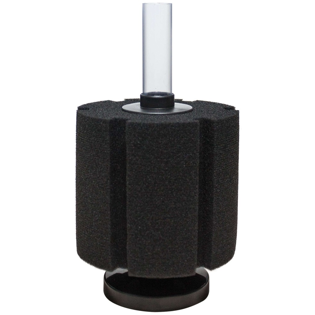 Bio Foam Ocen Free XL