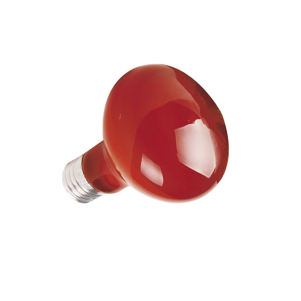 Bombilla Infraroja 50W