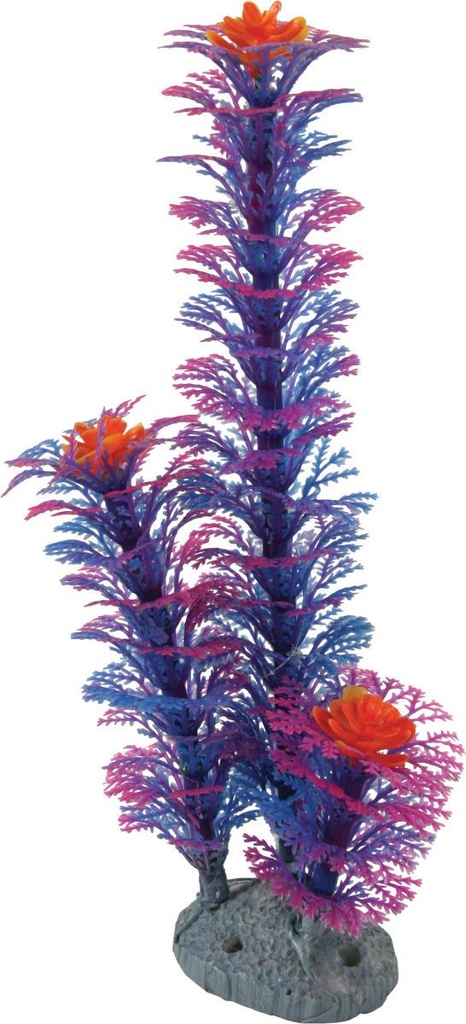 Color Planta Azul M