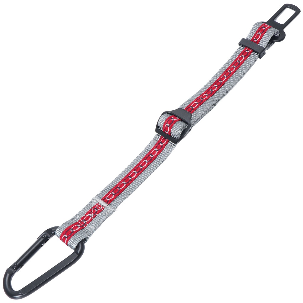 Cinturon coche XT-Dog 2,5x34-50 cm. 