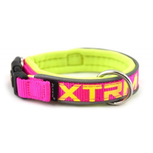 Collar X-Trm Neon Flash Fucsia 38mm X 65-75cm