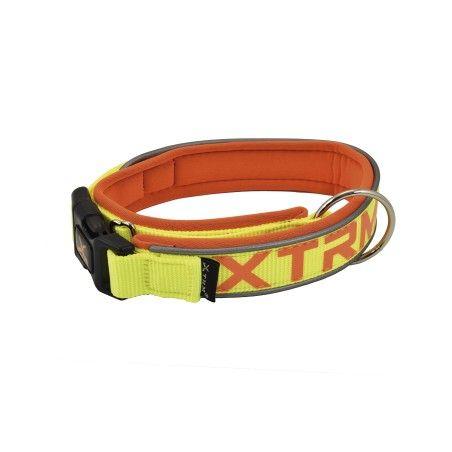 Collar X-Trm Neon Flash Limon 20mm X 35-45cm