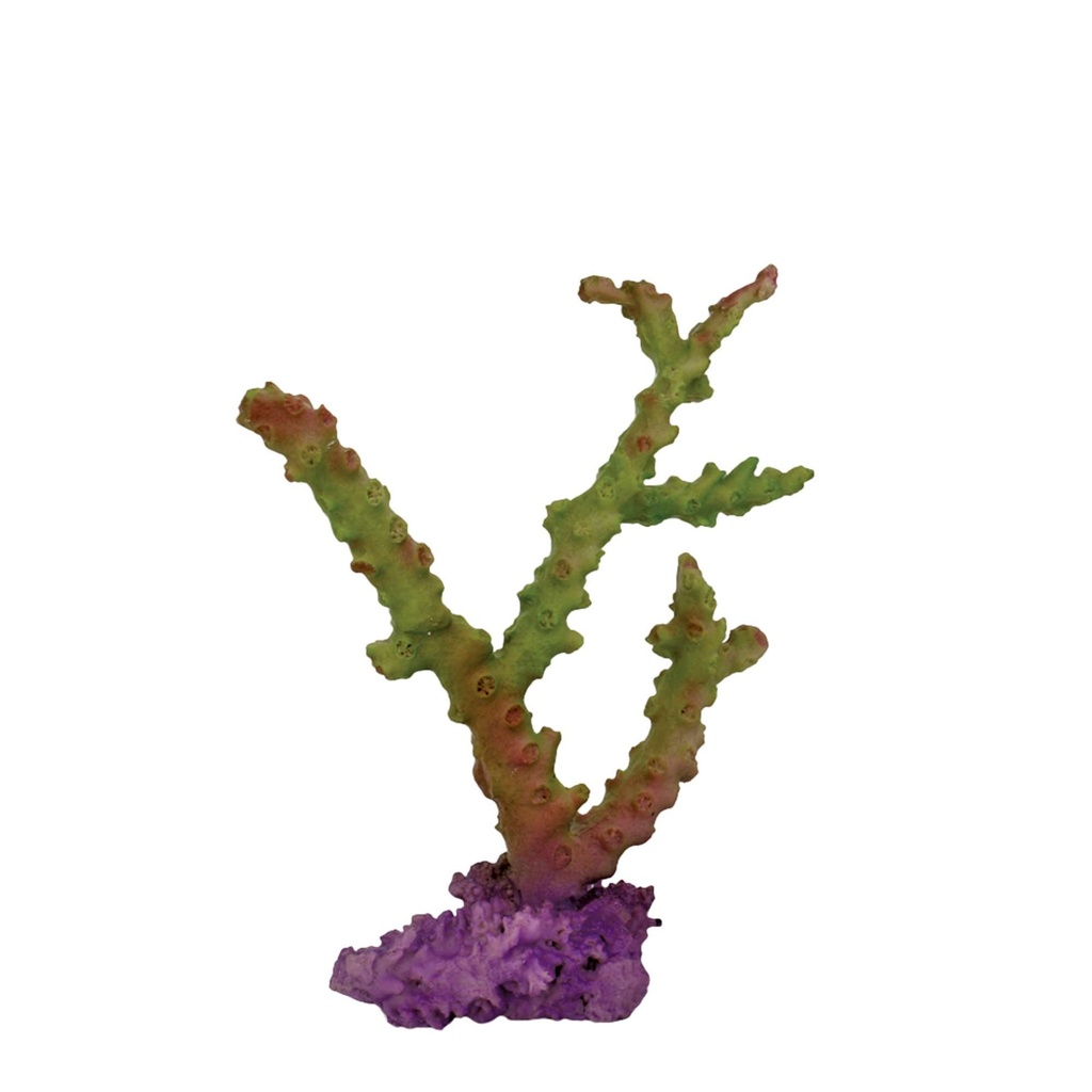 Coral Ramas Verde 23 cm.