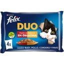 Felix DblyDl Gij MVCtrysd 4x85 grs.