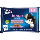 Felix Junior Agail Gij mvbf 4x85 grs.