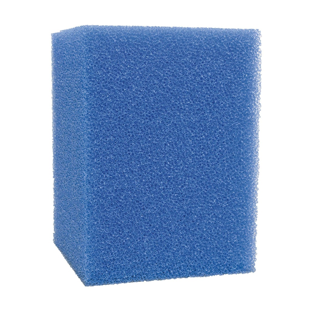 Foamex Nautilus gde.