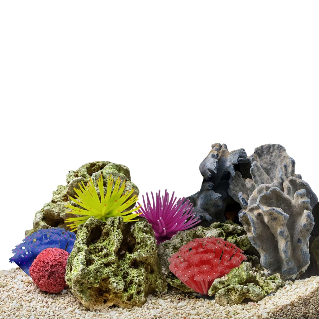 Goniopora surtida 13x13x13 cm.