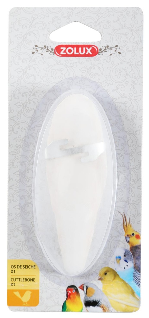 Huesos de Jibia + Soporte