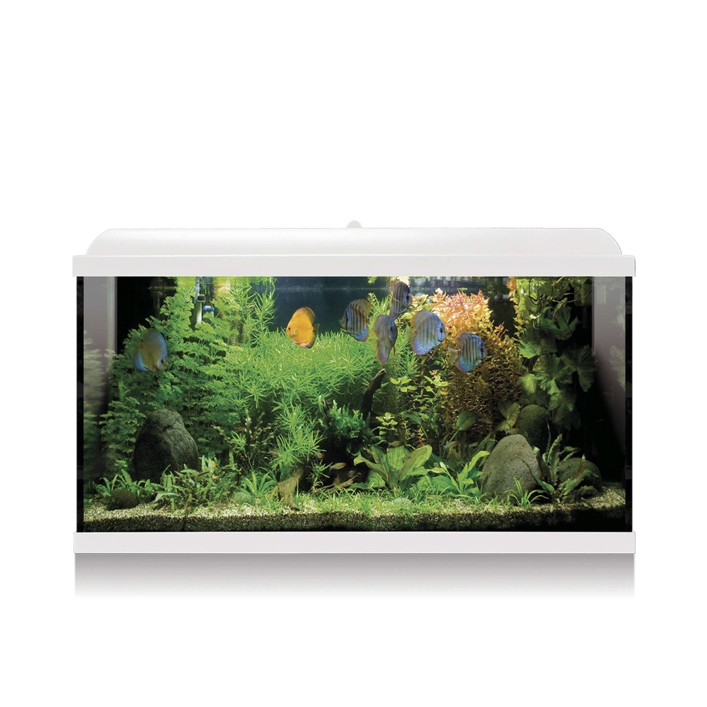Kit Interior Aqualed 100 blanco