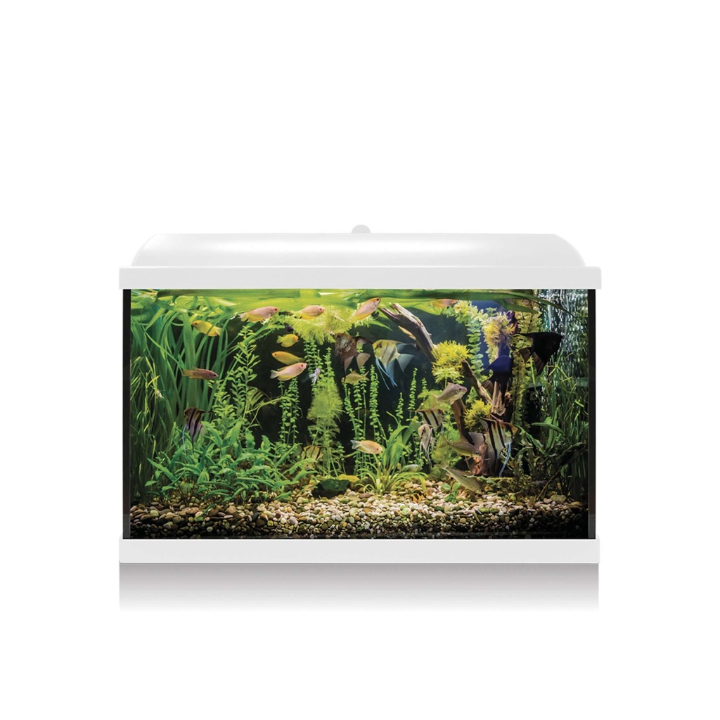 Kit Interior Aqualed Pro 68 blanco