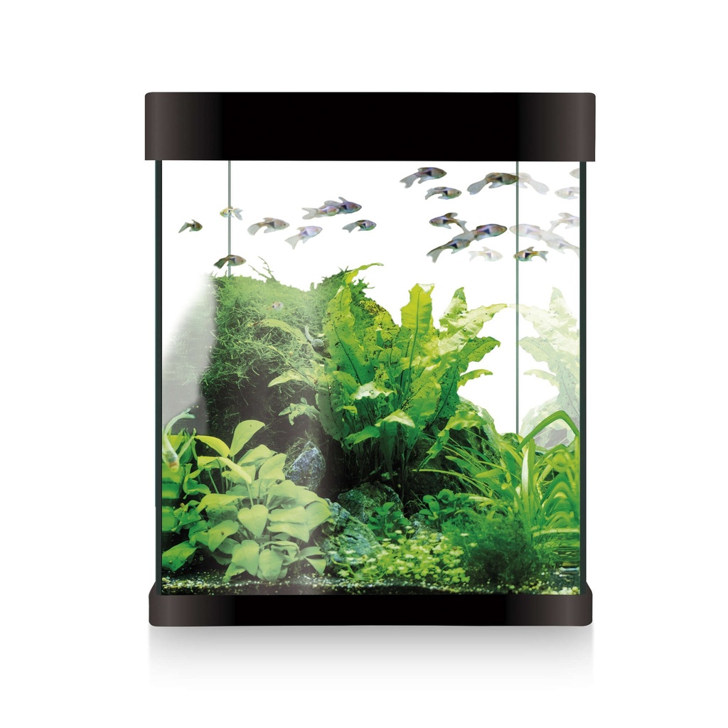 Kit Nano Aqualed 10L negro   