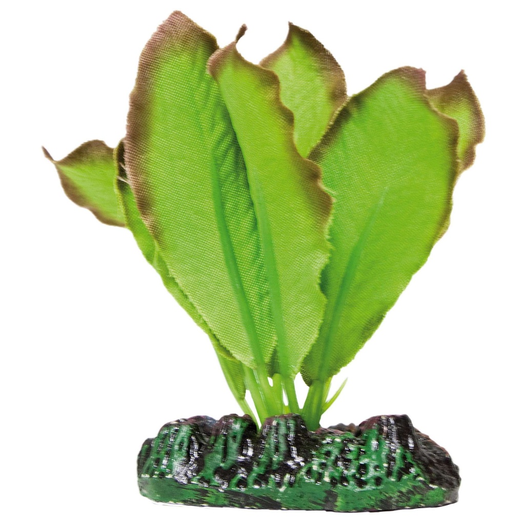 PLANTA DE SEDA ANUBIAS 20 cm.