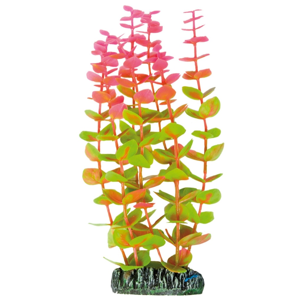 Pl.Plást. Alternanthera Rosa 19.5cm