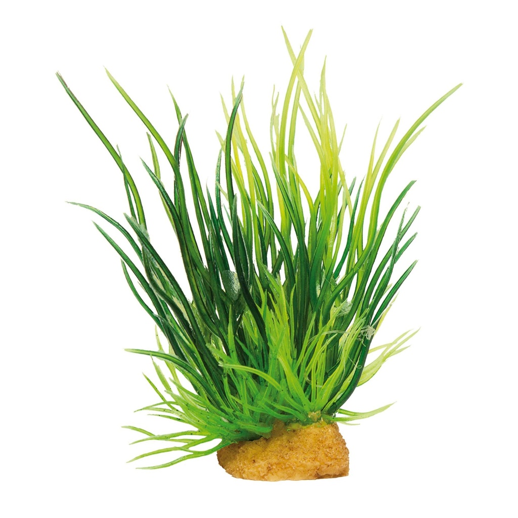 Planta MAGIC Mod. 3x3 uds.