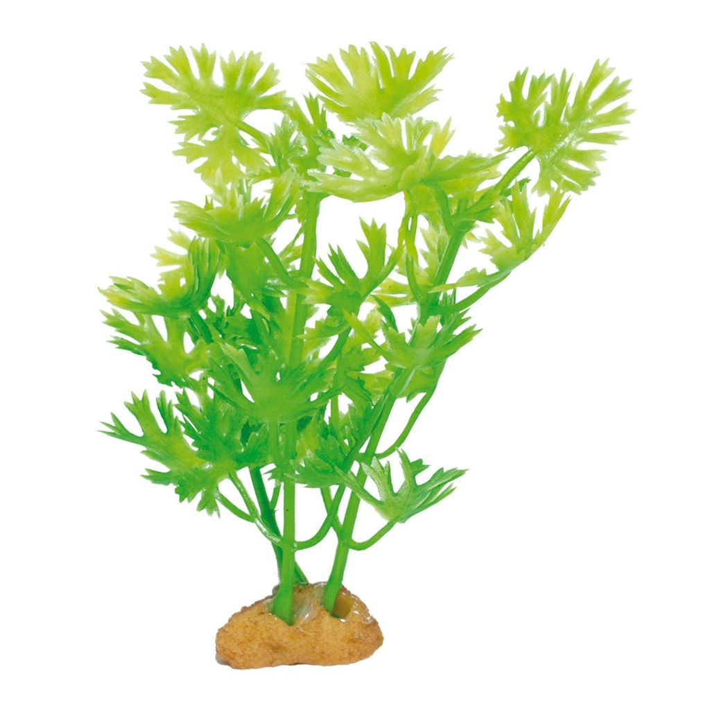 Planta MAGIC Mod. 5x3 uds