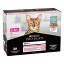 Pro Plan Dte Cat Gig PescOcn 85 grs.