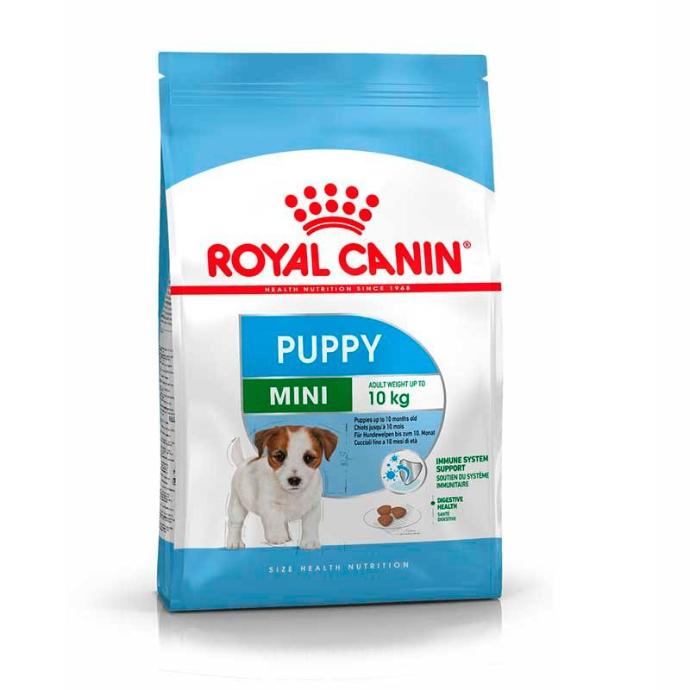 RC Shn Mini Puppy 4Kg