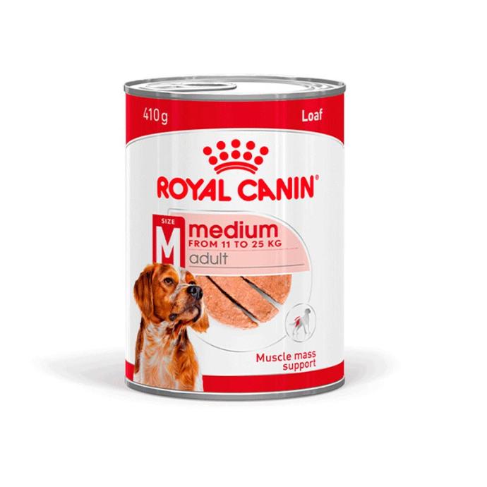 Shn Medium Adult Lata 410 grs.