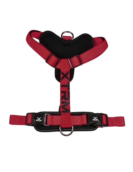 Arnes X-TRM Neon Flash Rojo/Negro 20 m/m 46-75 cm.