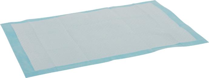 [477017] Alfombra. Educ. Cachor. 40X60 cm.x30