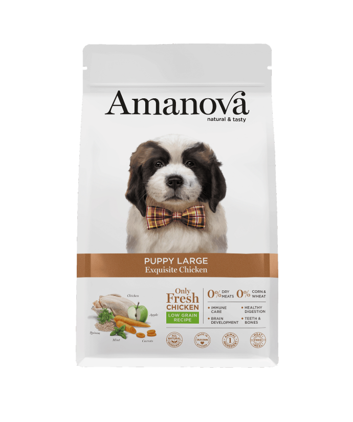 [S-AMJ18PL12] Amanova Puppy Large Exquisite Chicken & Quinoa 12 Kg.