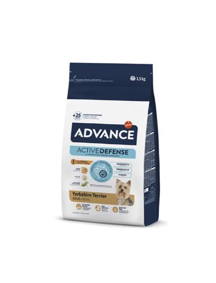 [963857/523210] Adv Yorkshire Terrier 1,5kg