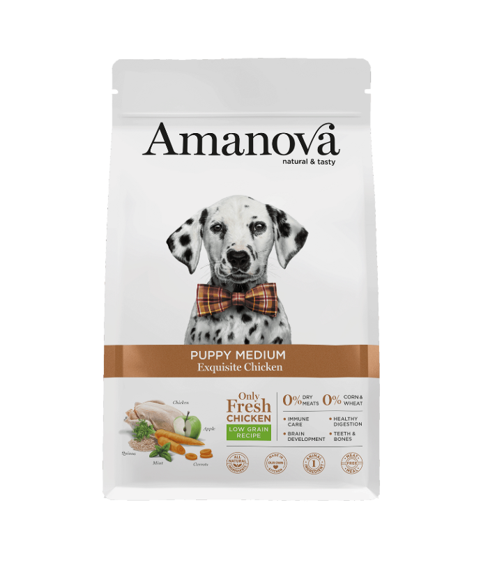 [S-AMJ15PM02] Amanova Puppy Medium Exqui. Pollo&Quinoa 2 Kg.