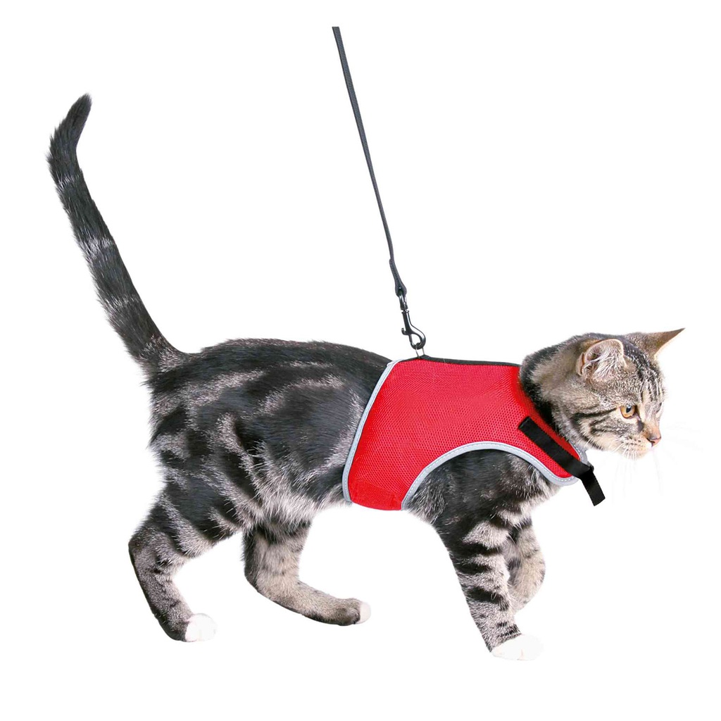 [41896] Arnés Suave-Correa Gatos, 24-42 cm., 1.20m