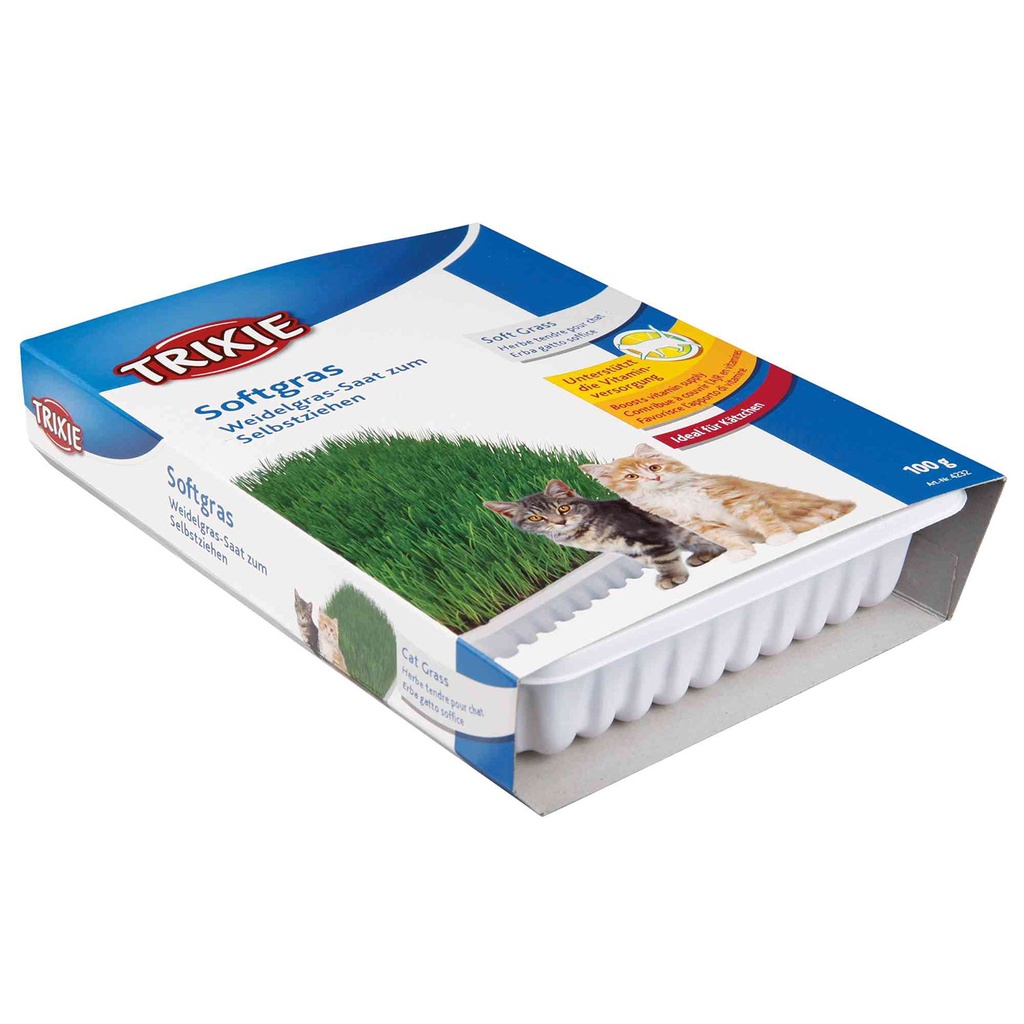 [4232] Bandeja Bio hierba para gatos, aprox.100 g