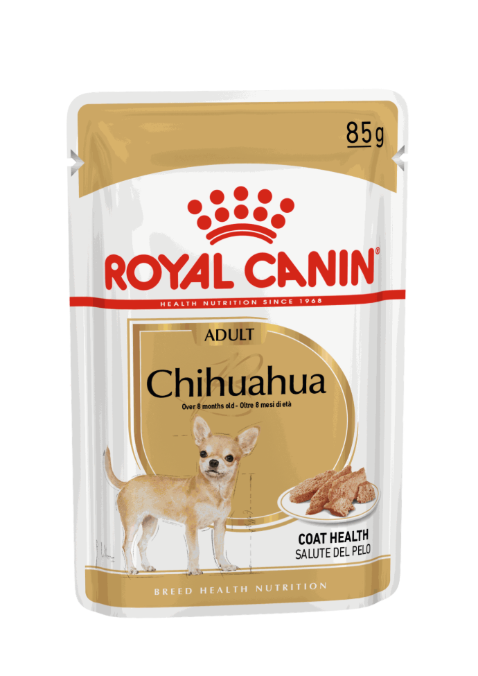 [RC394422] Bhn Chihuahua Wet 85gr