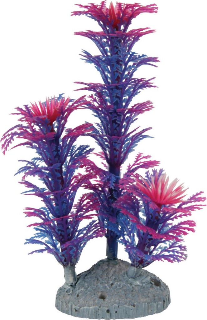 [352067] Color Planta Azul S