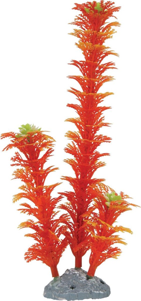 [352066] Color Planta Naranja M