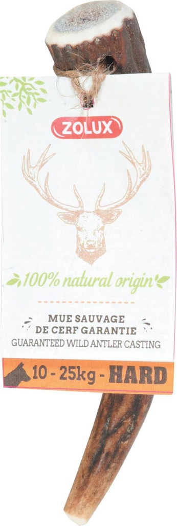 [482331] Cuerno de Ciervo Entero S