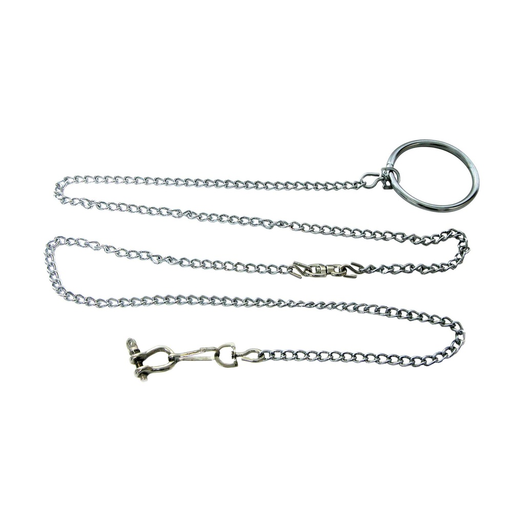 [PC300] Cadena Cromada para Loros