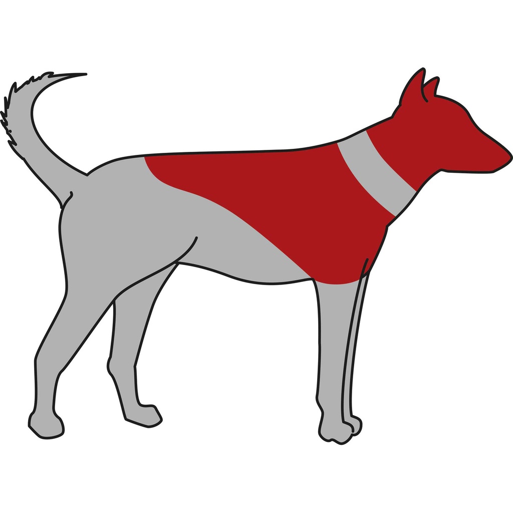 [19543] Collar Protector. Inflable. ML. Azul