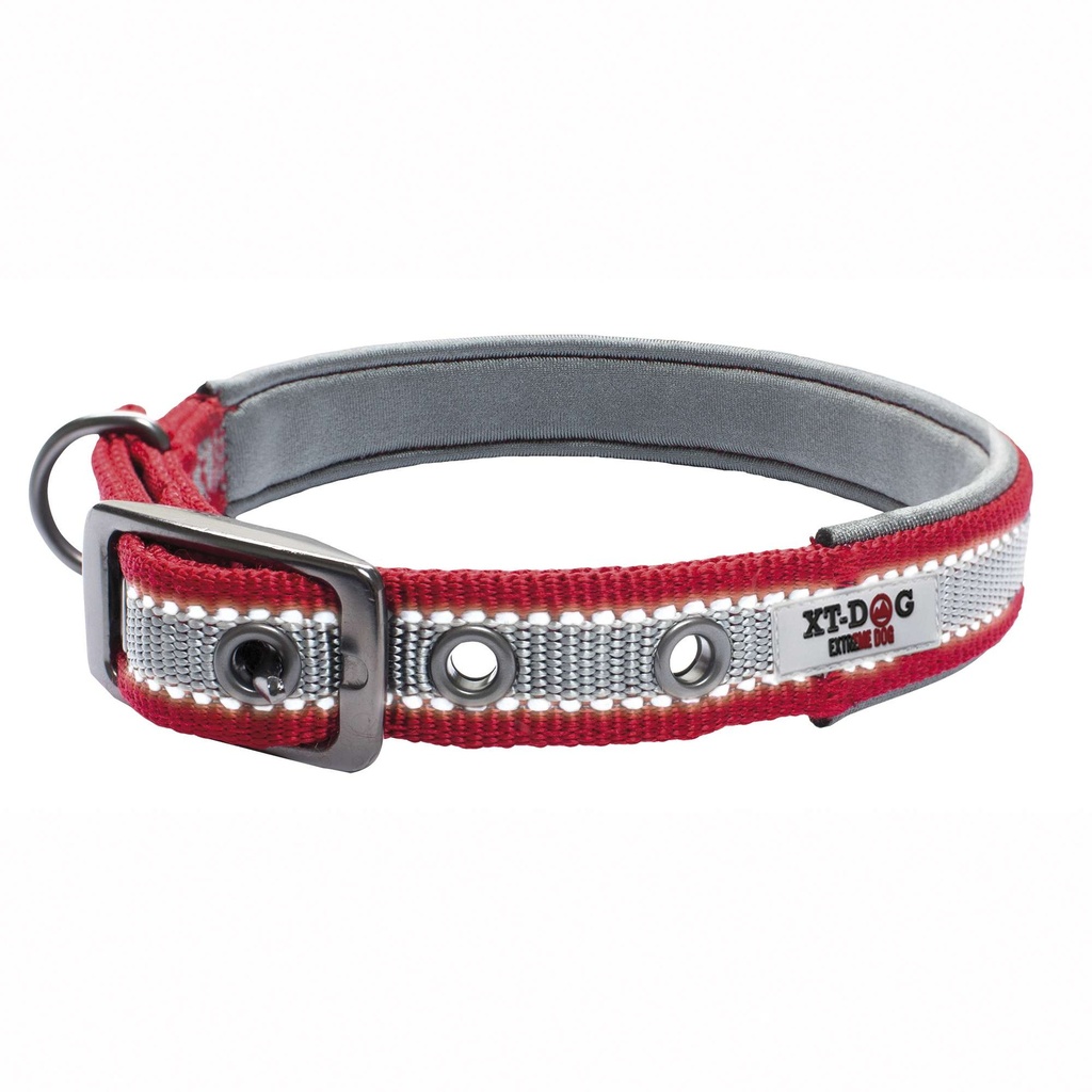 [DL6131] Collar XTDog City Roja 2.5x5060cm
