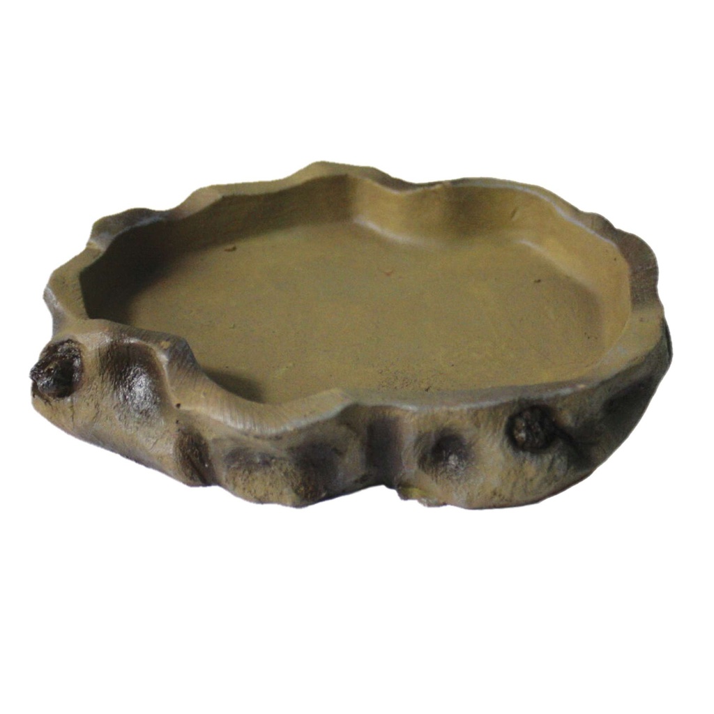 [KR301] ComBeb. Reptiles M 14x12.5x6Cms