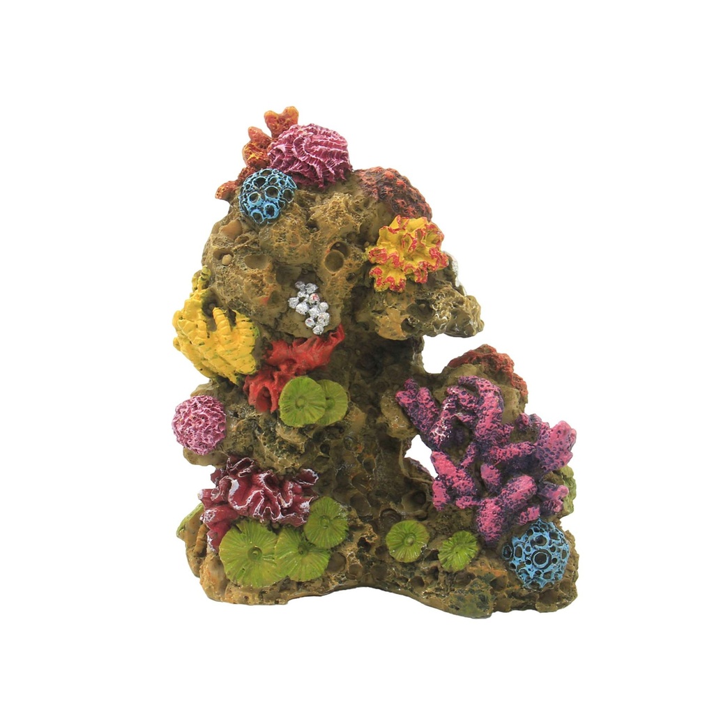 [OR211] Conjunto Coral Reef 12cm