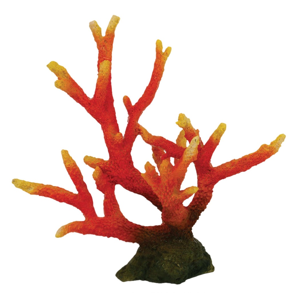 [OR200] Coral Diablo Rojo 22,5 cm.