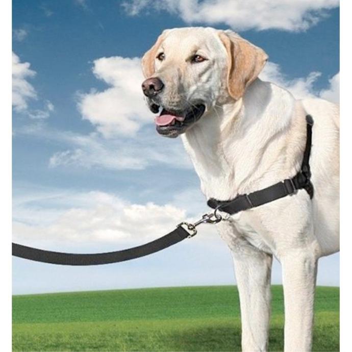 [EW-H-XL-BK-45] Easy Walk Arnes Extra Grande Negro