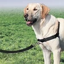 [EW-H-M-BK-45] Easy Walk Arnes Mediano Negro