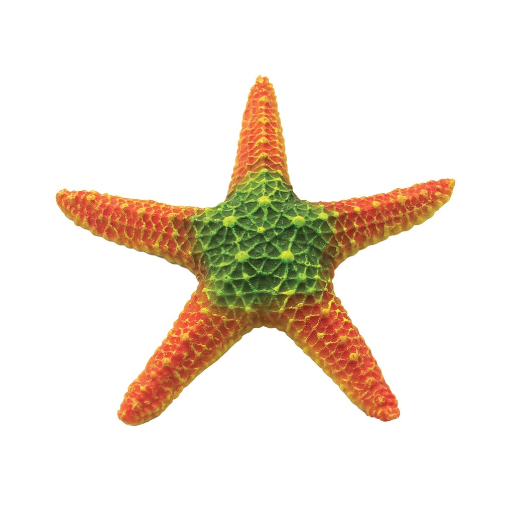 [OR206] Estrella de mar Naranja 18,5 cm.