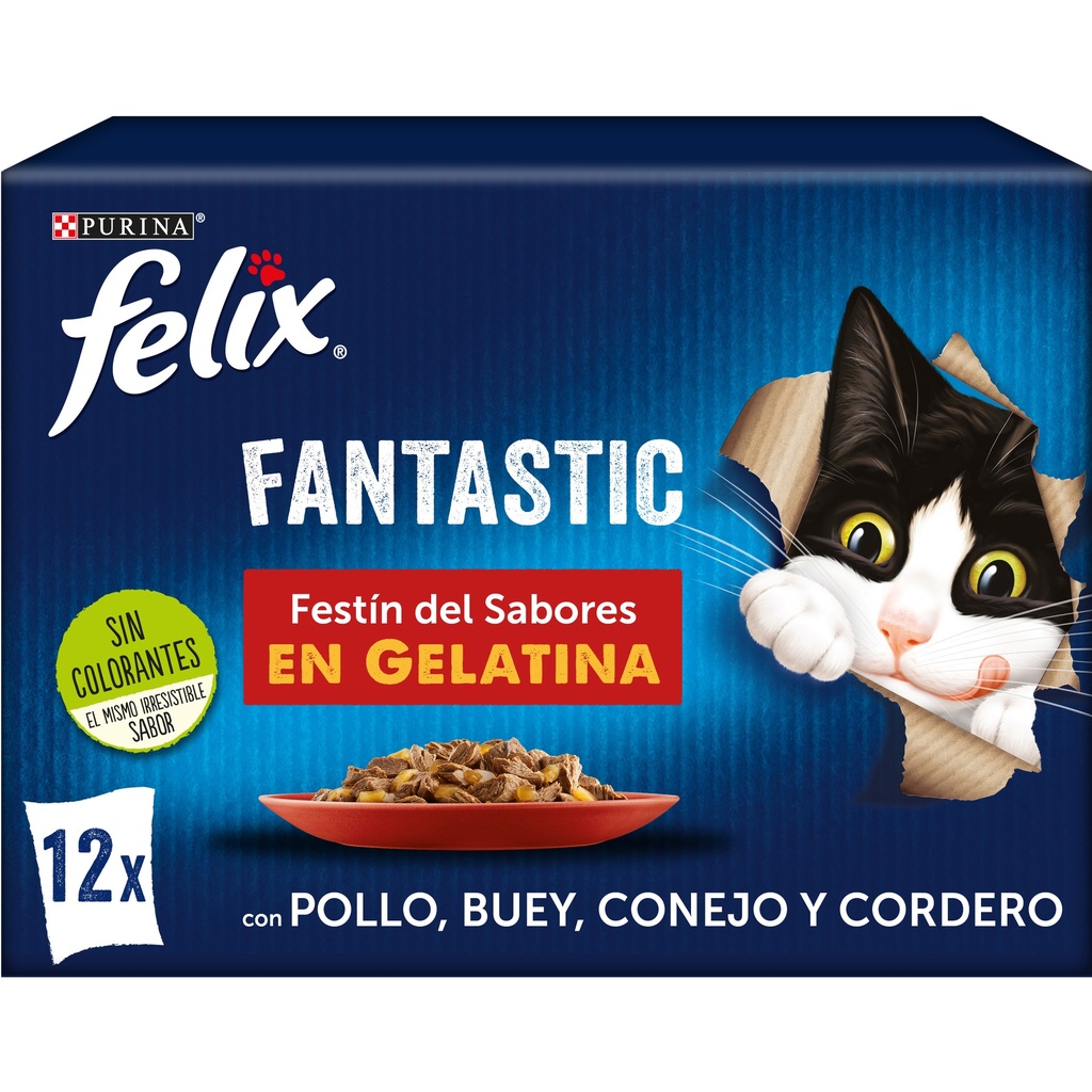 [12480836] Felix Agail Gij MV Beff 12x 85 grs.