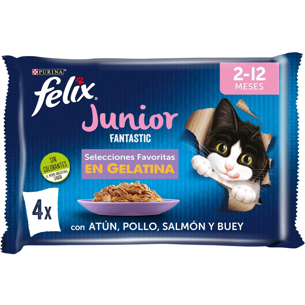 [12480066] Felix Junior Agail Gij mvbf 4x85 grs.