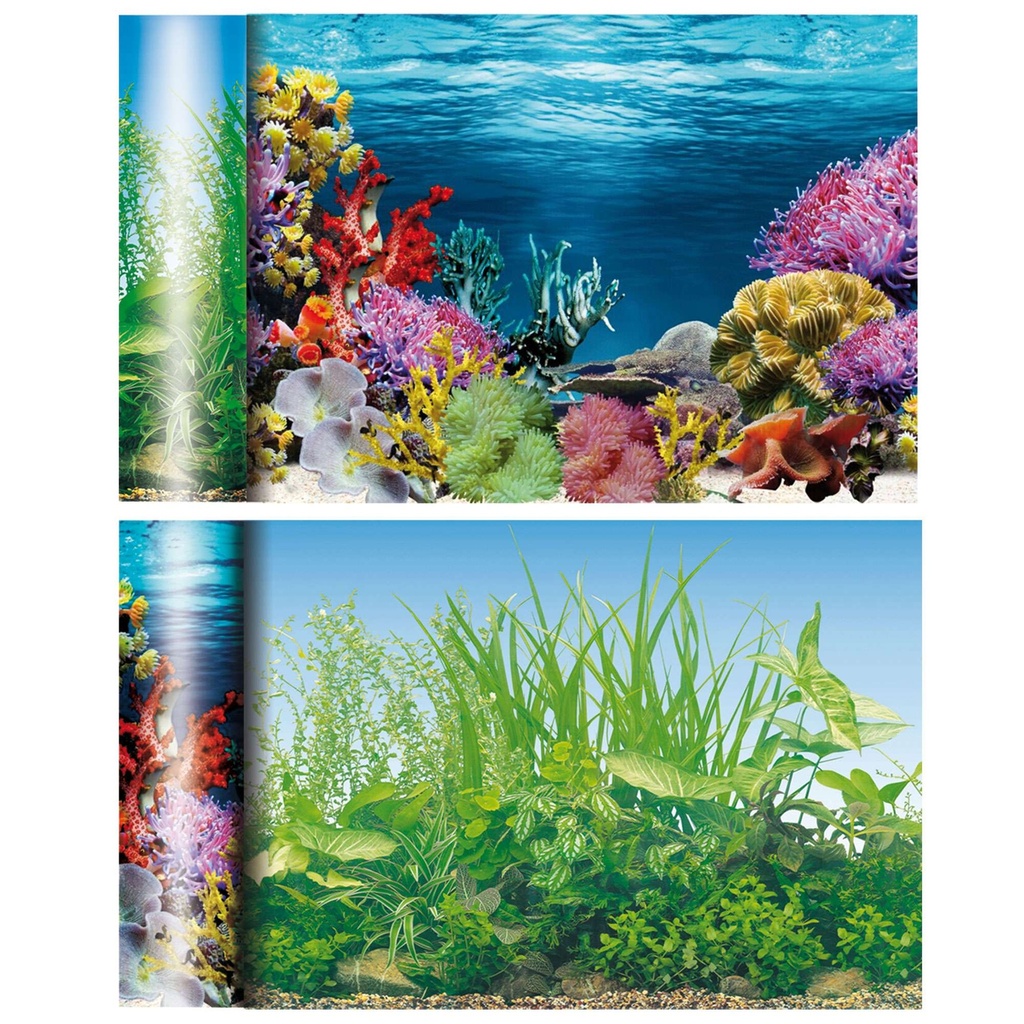 [FN2160] Fondo Caribe Estanque 60 cm.