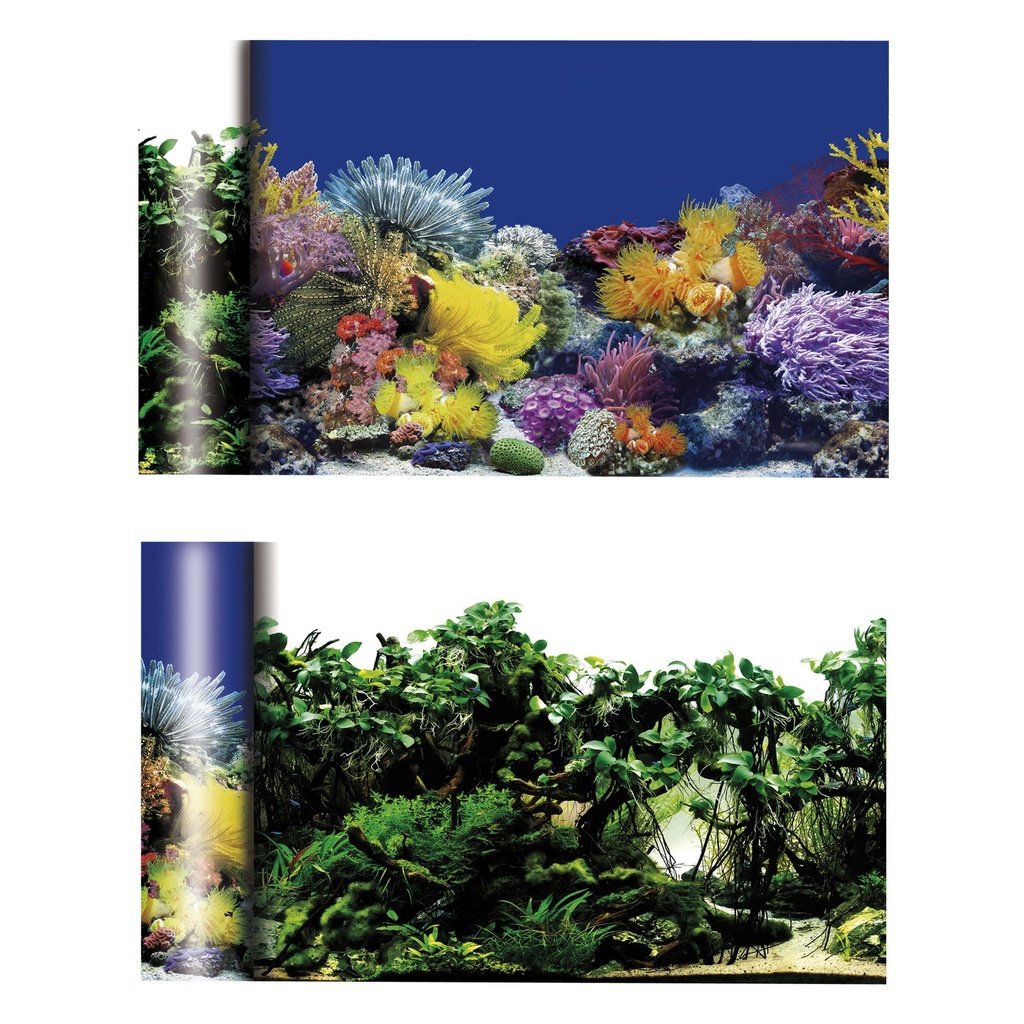 [FN2550] Fondo Corales/Plantas 50 cm.