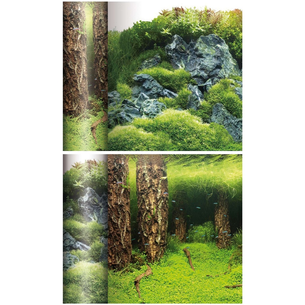 [FN2640] Fondo Laguna Tronco/Monte 15x40cm