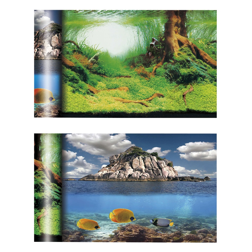 [FN2450] Fondo Árbol/Islote 50 cm.